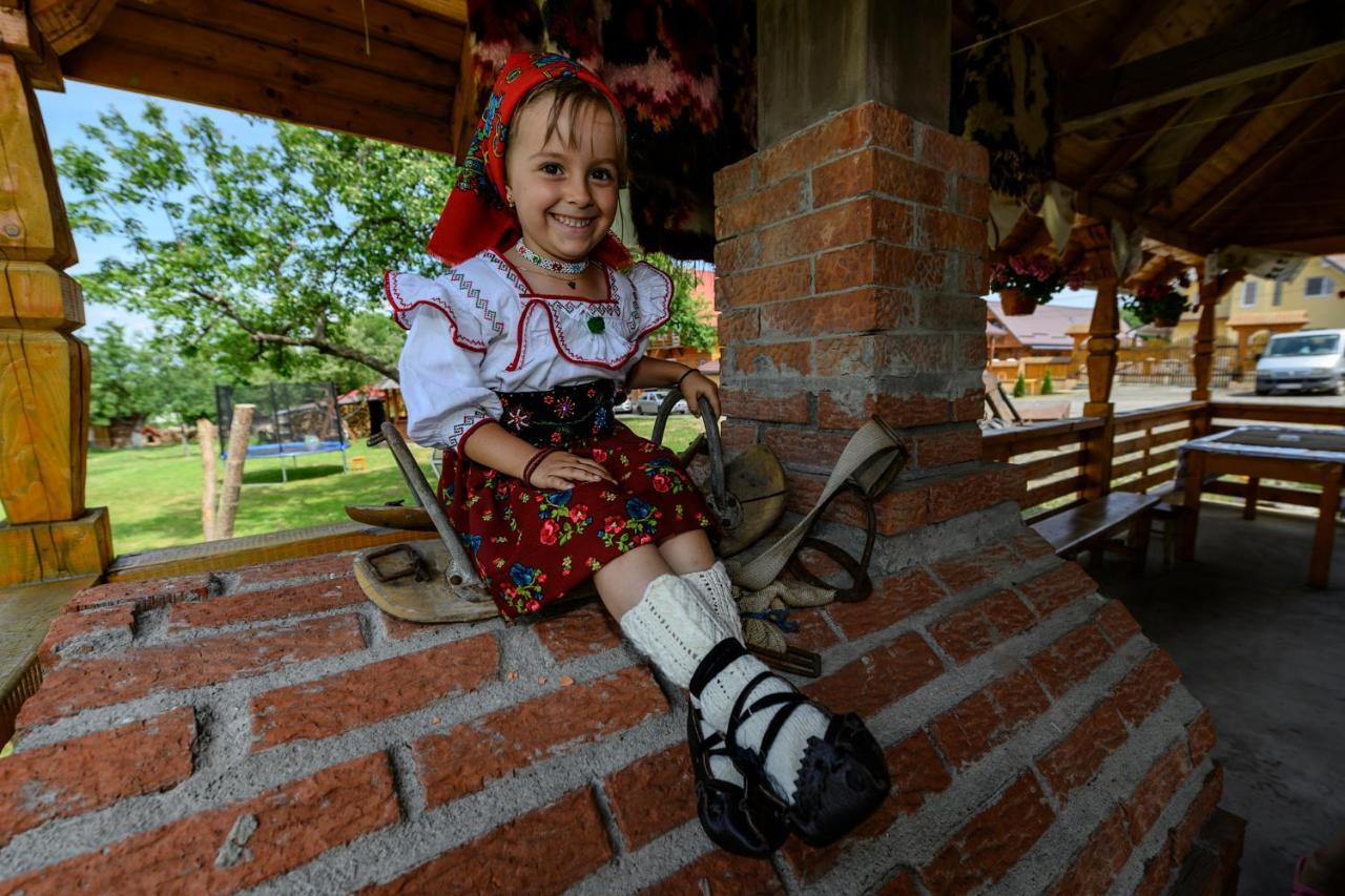 Pensiune Agroturistica "Casa Teodora" Budeşti Exteriör bild