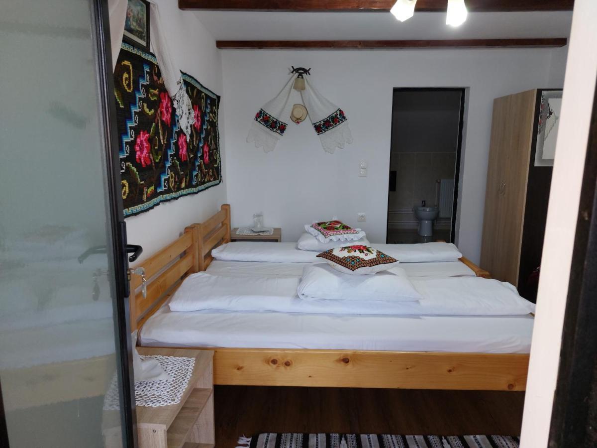 Pensiune Agroturistica "Casa Teodora" Budeşti Exteriör bild