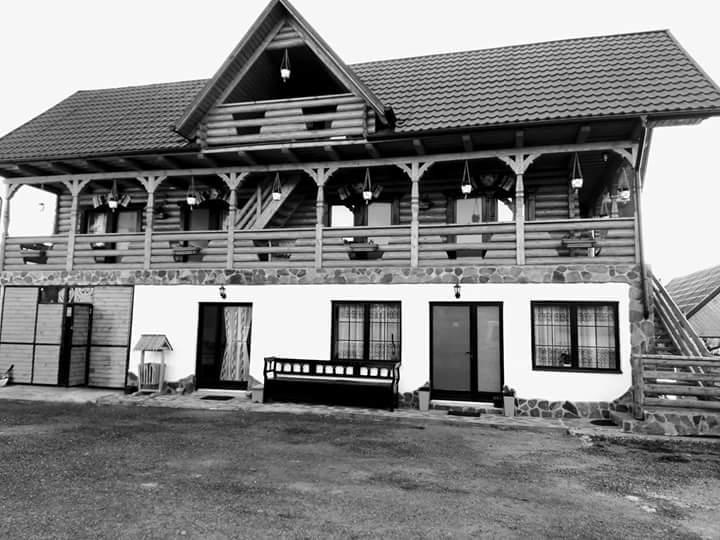 Pensiune Agroturistica "Casa Teodora" Budeşti Exteriör bild
