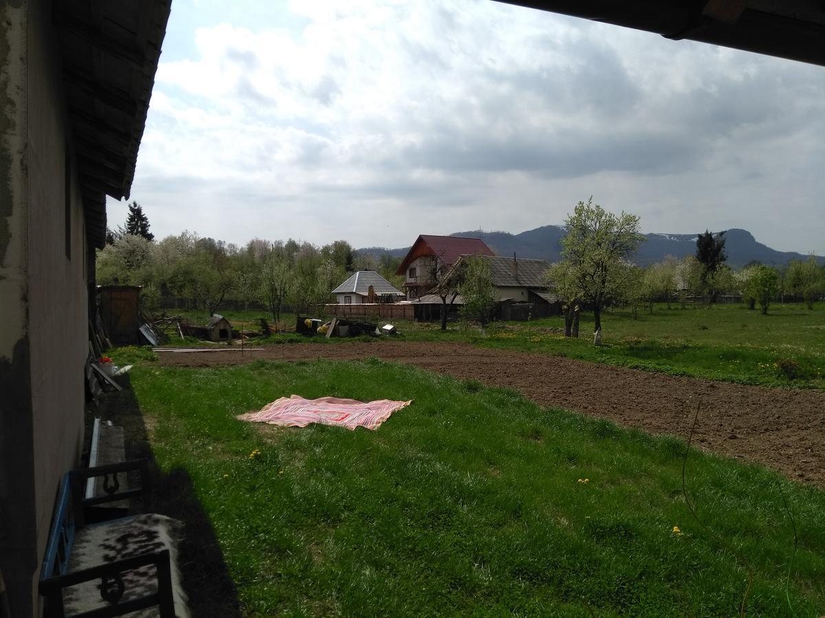 Pensiune Agroturistica "Casa Teodora" Budeşti Exteriör bild