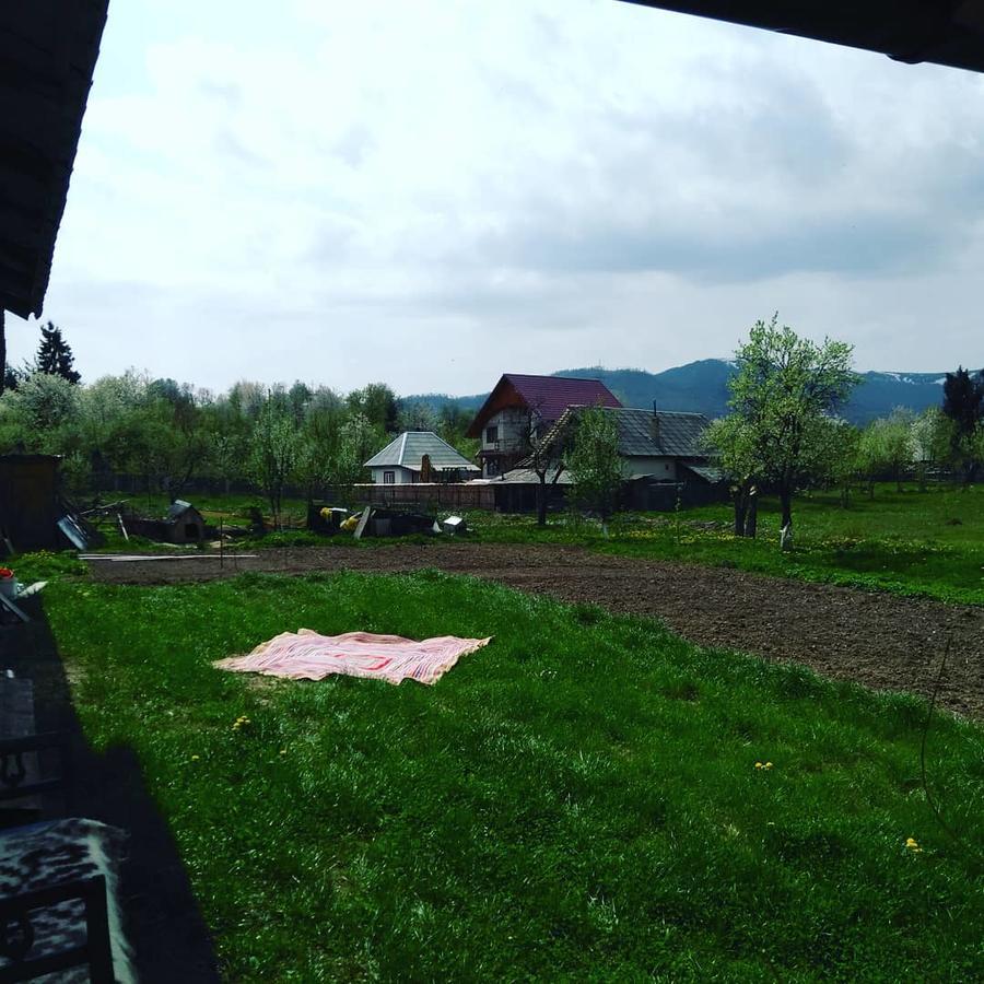 Pensiune Agroturistica "Casa Teodora" Budeşti Exteriör bild