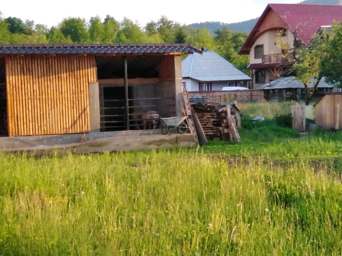 Pensiune Agroturistica "Casa Teodora" Budeşti Exteriör bild